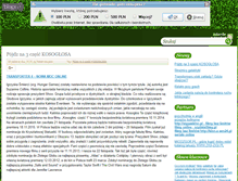 Tablet Screenshot of fotelemasujace.blogx.pl