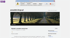 Desktop Screenshot of posadzki.blogx.pl